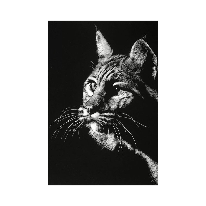 Black Glimpse II by Julie T. Chapman - Wrapped Canvas Print, 101.6 cm H x 66.04 cm W x 1.91 cm D