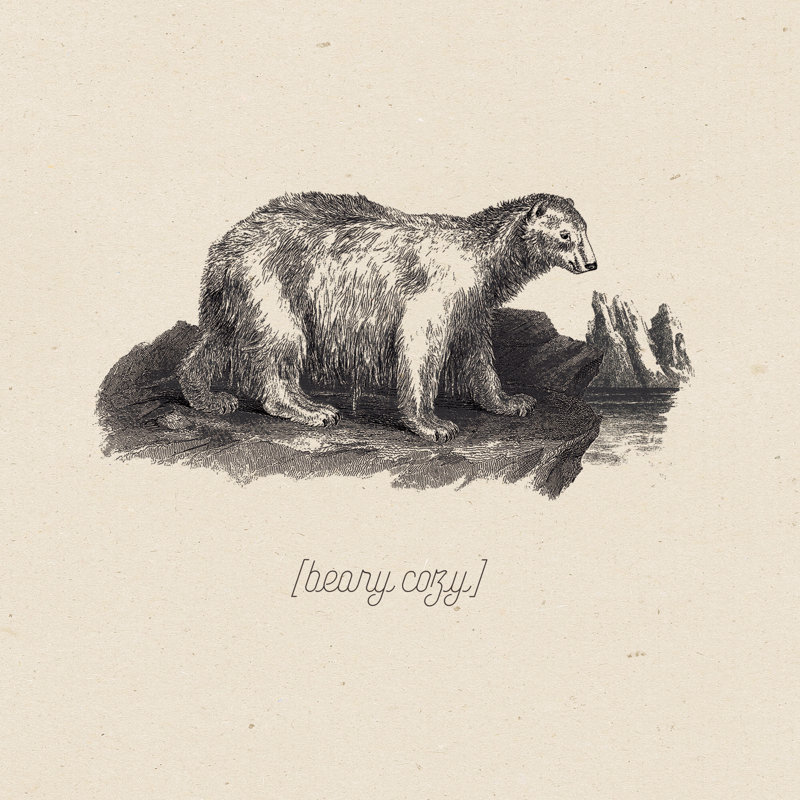 Beary Cozy - Wrapped Canvas Print, 30cm H x 30cm W x 3.8cm D