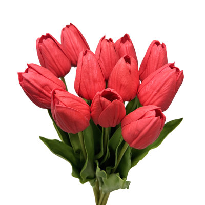 Tulip Arrangement
