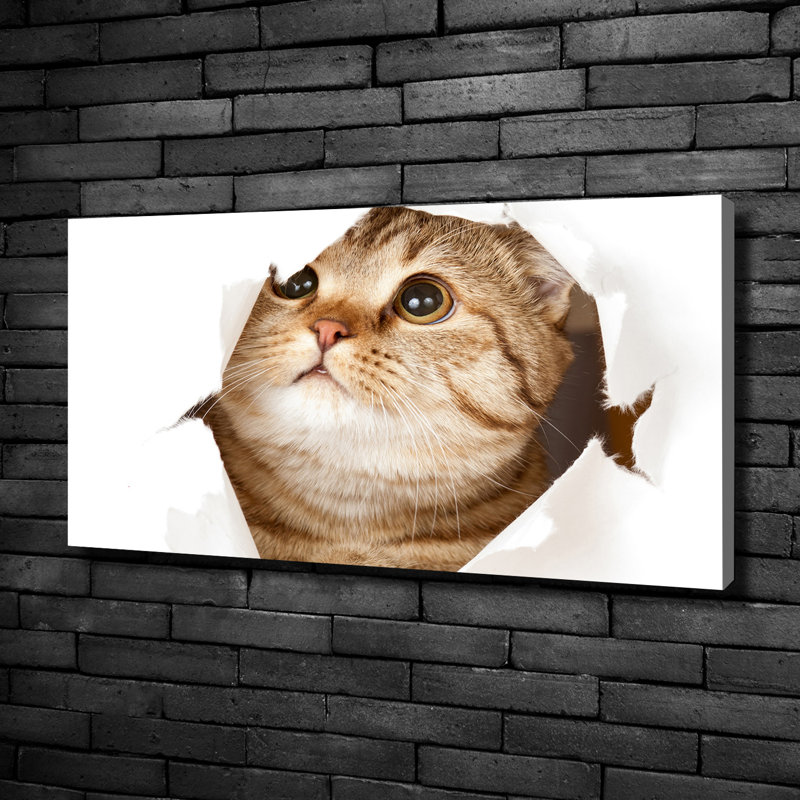 Cat - No Frame Print on Canvas