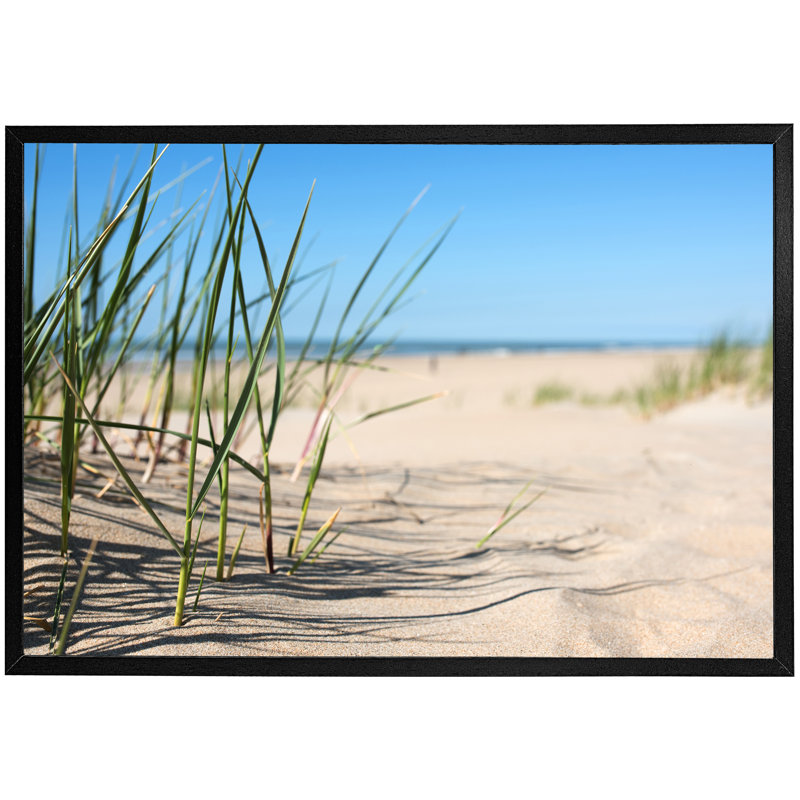 Deshields Grass In The Sand Dunes With The Lake In The Background - Single Picture Frame Print, Black Framed
