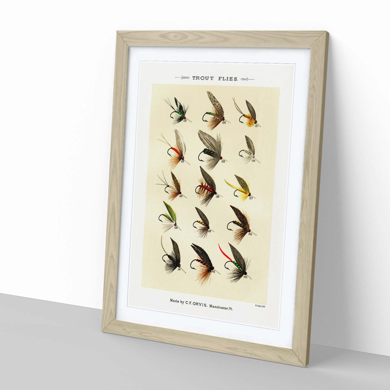 Trout Fishing Flies Version 8 by Mary Orvis Marbury - Picture Frame Painting Print, Oak, 50cm H x 35cm W x 2cm D