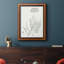 «Botanical Study In Sage V», toile encadrée de qualité supérieure - prête à être accrochée-71734921