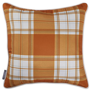 https://assets.wfcdn.com/im/61314937/resize-h310-w310%5Ecompr-r85/2245/224562717/plaid-polyester-indooroutdoor-throw-pillow.jpg