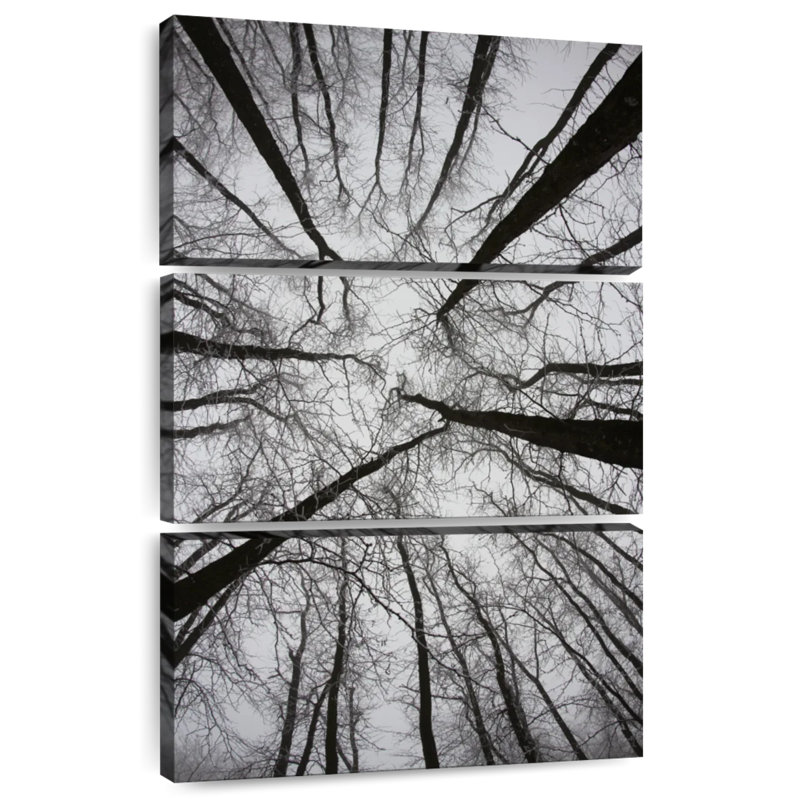 Forêt sombre Harnek, H 38 po x l 24 po