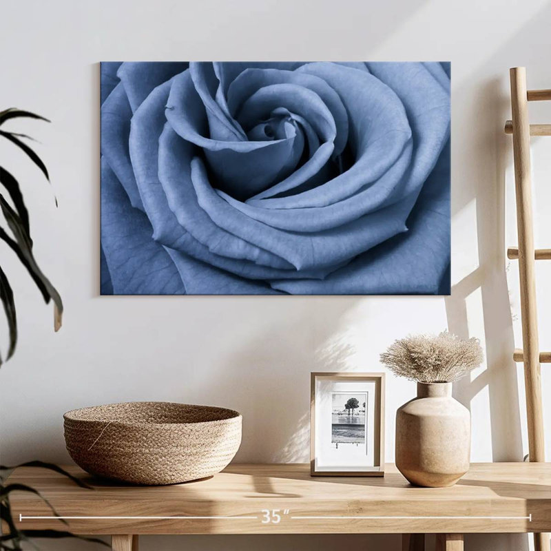 Rose bleue Harnek en gros plan, H 16 po x l 24 po