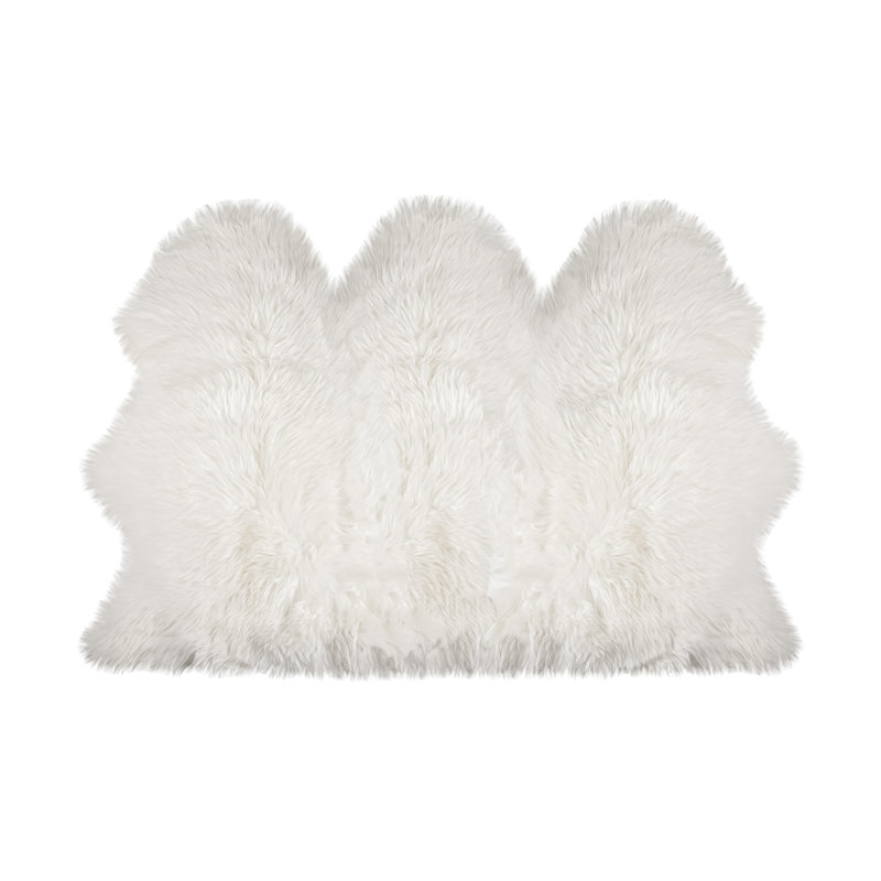 Novelty Jeison Acrylic Area Rug in White