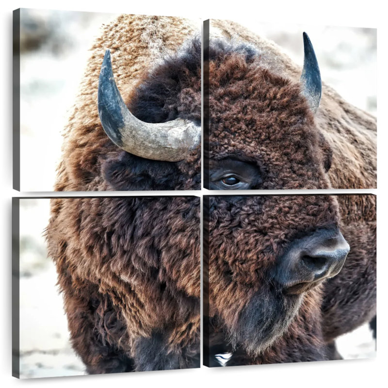 Brampt In The Presence Of Bison