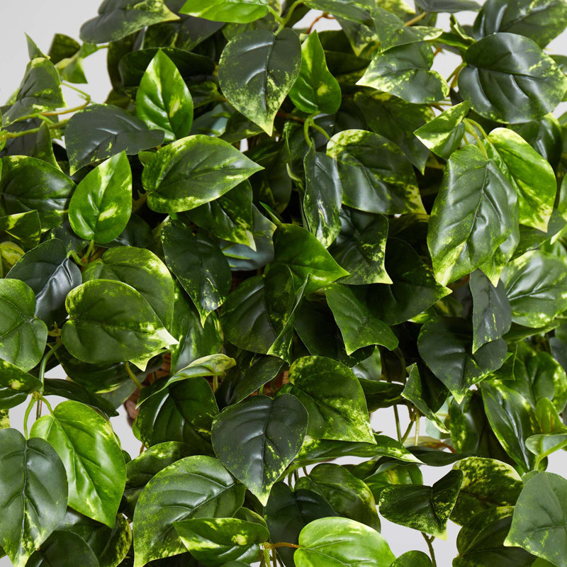 Panier suspendu Pothos résistant aux rayons UV (intérieur / extérieur)