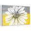 Marguerite sur les couleurs-1524741305-1524741302