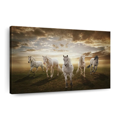 Dramatic White Horses Canvas Print