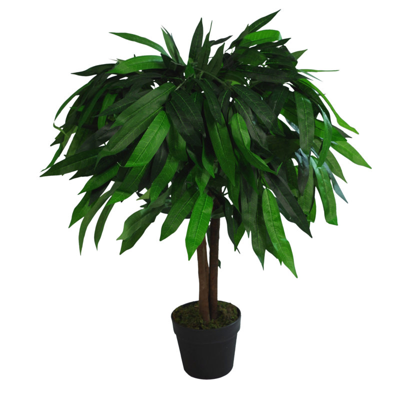 Faux evergreen Plant in Plastic Pot Liner, 80cm H x 60cm W x 60cm D