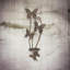 Metal Butterfly Wall Candle Holder | Antique Distressed Decorative Wall Mounted Candle Holder Home Accent