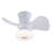 22 In LED Ceiling Fan Light