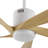 52" 5-Blade Modern LED Ceiling Fan with Light Kit and Remote Control-843147402