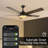Aubyn 52 " Dimmable  Bllack Ceiling Fan with LED Lights and Remote Control