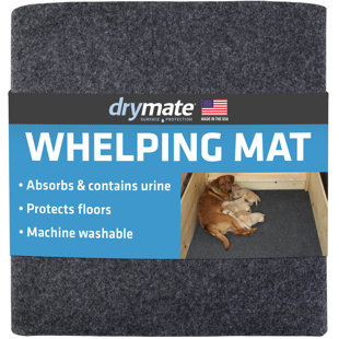https://assets.wfcdn.com/im/61318220/resize-h310-w310%5Ecompr-r85/2233/223324324/whelping-box-liner-mat-absorbentwaterproofmachine-washable.jpg