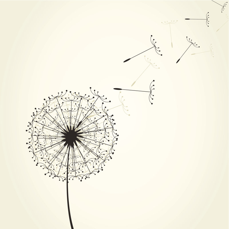 Dandelion by Aleksandr-mansurov-ru - Wrapped Canvas Print, 30cm H x 30cm W