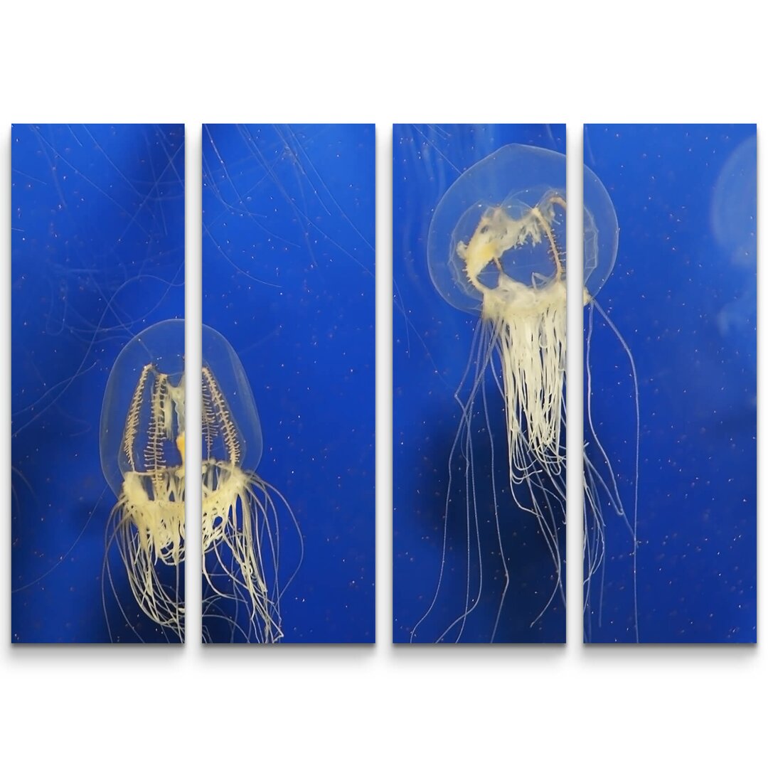 4-tlg. Leinwandbilder-Set Zwei durchsichtige Quallen