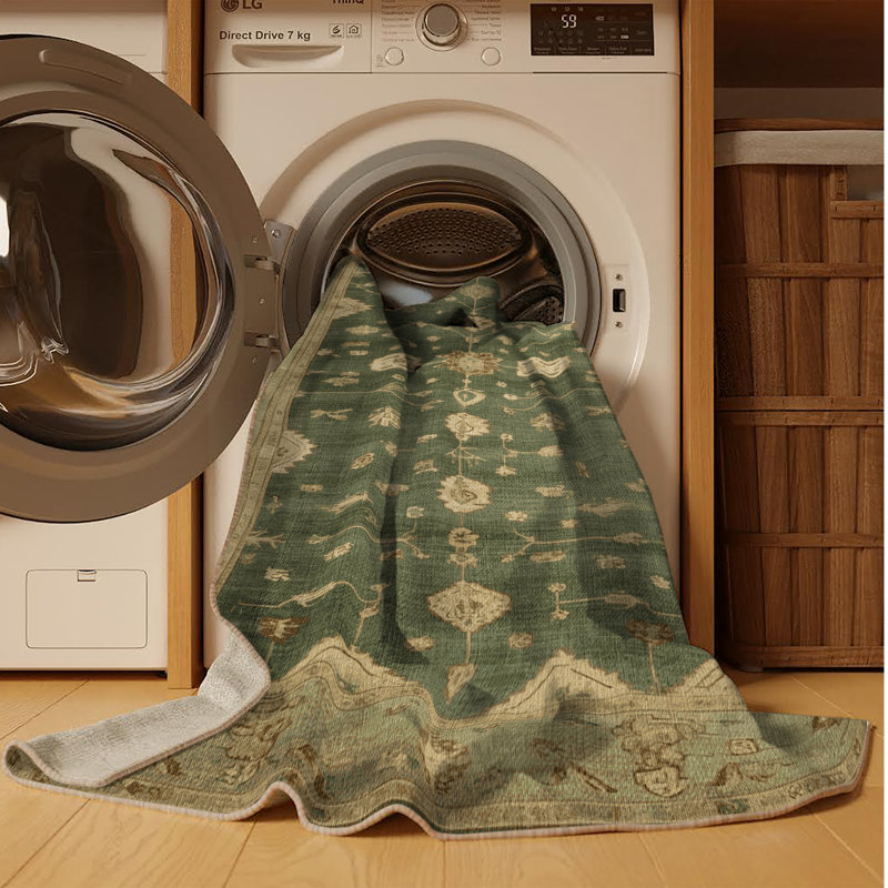 Machine Washable Overdyed Brown Area Rug, Rectangle 5' x 7'