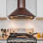 30-in 343-CFM Convertible Vine Embossed Copper Wall-Mounted Range Hood with Carbon Filters