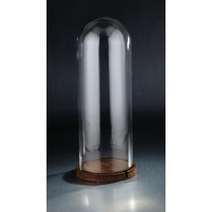 Glass Dome Cloche H-14, 21 Decorative Showcase Display for Antique  Collectibles Bell Jar Terrarium & Dessert Cover