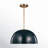 Leona 1-Light Dimmable Metal Dome Single Pendant-1210321263