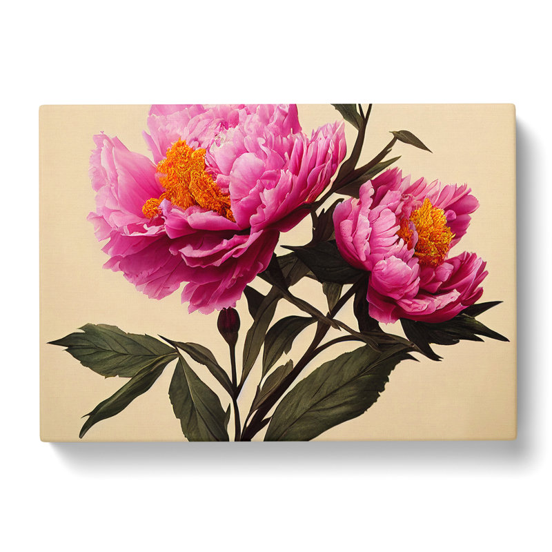 Adorable Peony Flowers - Wrapped Canvas, 50cm H x 76cm W x 3cm D