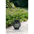 8.7X8.7X9.8" Black Poly Rattan Lantern With White LED Candle-326240053