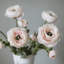 Ranunculus Faux Floral-1373698715