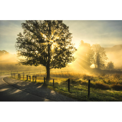 'Wake up Call' by Danny Head - Wrapped Canvas Photographic Print