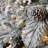 78' Lighted Pine Christmas Tree-44824334