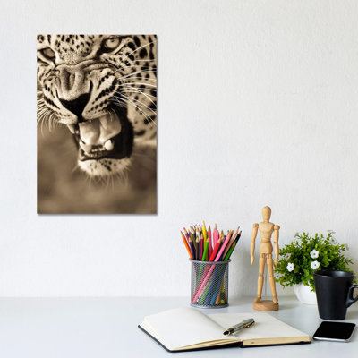 Leopard VIII by Goran Anastasovski - Wrapped Canvas Print