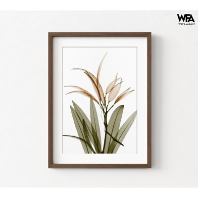 Reproduction d'art mural aux rayons X, impression florale encadrée, fleur aux rayons X, décoration murale botanique, art mural encadré, art mural surdimensionné