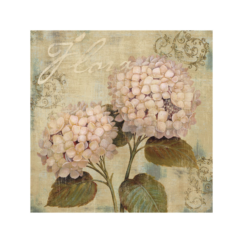Ornament II 1 Piece Wall Art on Canvas, 45.72 cm H x 45.72 cm W x 1.91 cm D, No Frame