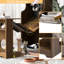 Modern Walnut Multi-Functional Cat House Cabinet - , Stylish, Storage Multi-Purpose Pet Beautiful Color, Peg Board