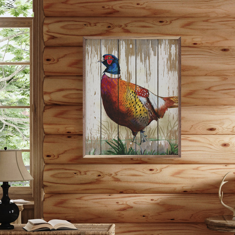 Common Pheasant, H 20 po x l 16 po