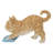 Kitten Mopping the Floor