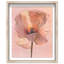 Amber Radiance I Framed Graphic Art-218294683-45040216