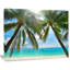 Palmier suspendu sur une plage de sable blanc - reproduction de photo sur toile tendue-590073795-603073661