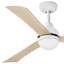 Ventilateur de plafond avec lumières DEL Brona-88410798-88410796