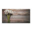 Lochran 50cm W x 100cm L Glass Peel and Stick Panel