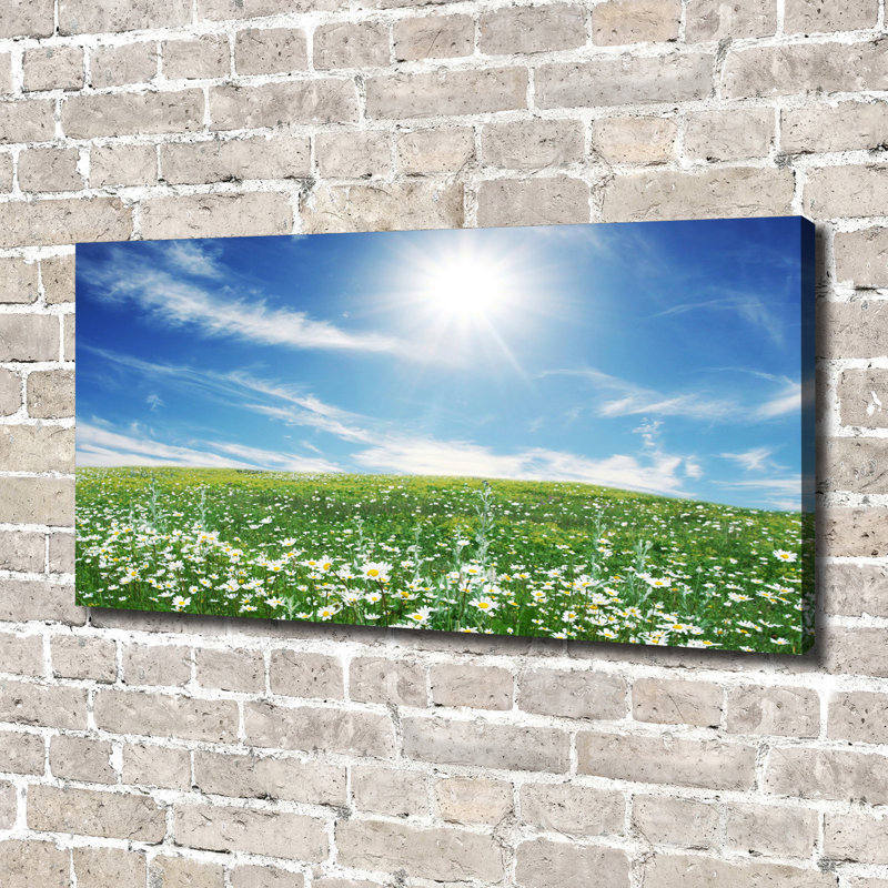 Meadow - Wrapped Canvas Print