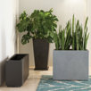 Modern planters