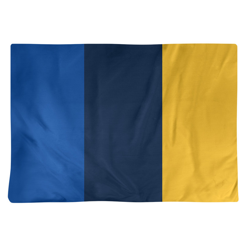 Récapitulatif 14" hockey St. Louis, Bleu royal / bleu marine / doré, Polyester