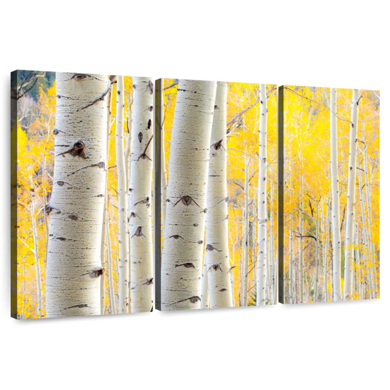 Alvord White Birch Tree Trunks, 24" H x 38" W
