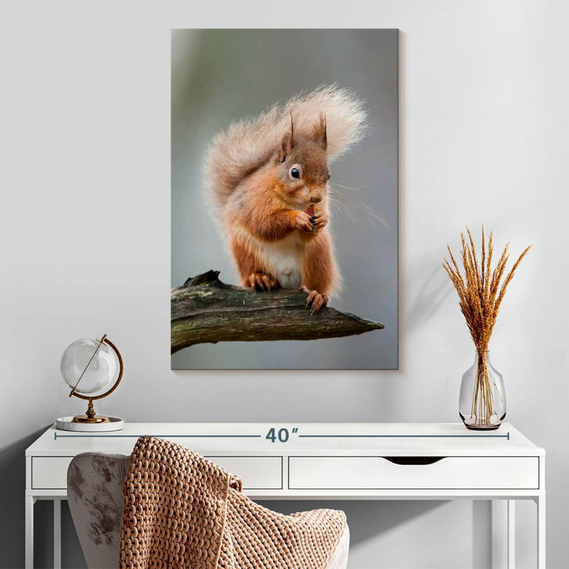 Brampt Red Squirrel Eating On A Branch, 30" H x 20" W