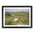 Black Framed