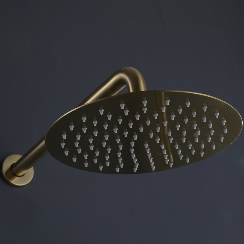 Rain Adjustable Shower Head 1.8 GPM GPM, Brushed Gold, Round