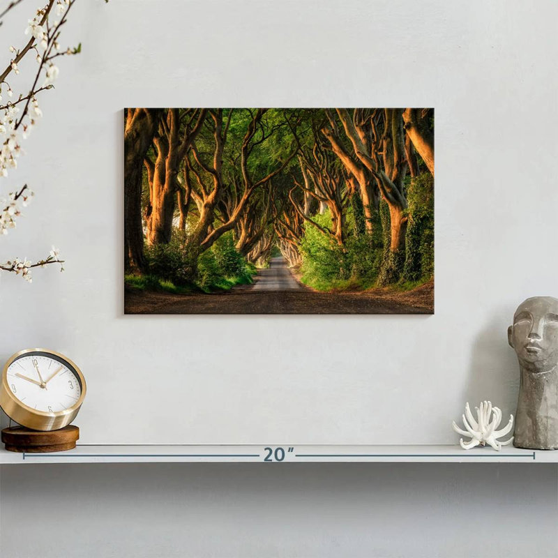 Lilie The Dark Hedges Forest Ballymoney, 8" H x 12" W